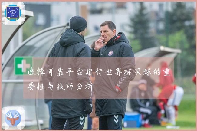 选择可靠平台进行世界杯买球的重要性与技巧分析