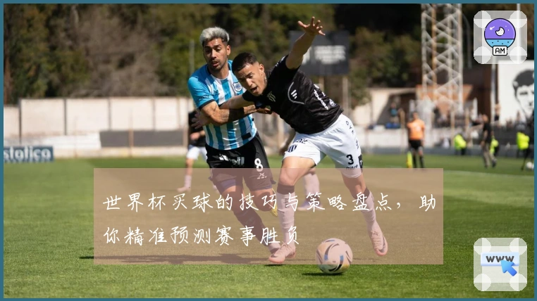 世界杯买球的技巧与策略盘点，助你精准预测赛事胜负