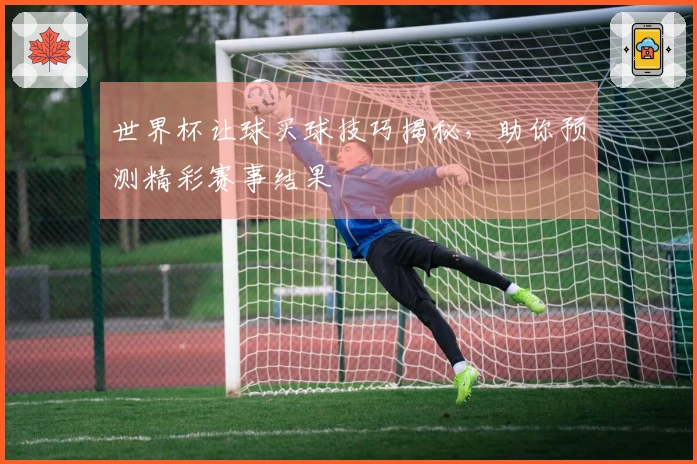 世界杯让球买球技巧揭秘，助你预测精彩赛事结果