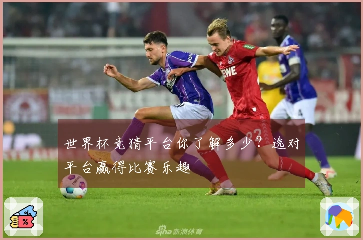 世界杯竞猜平台你了解多少？选对平台赢得比赛乐趣
