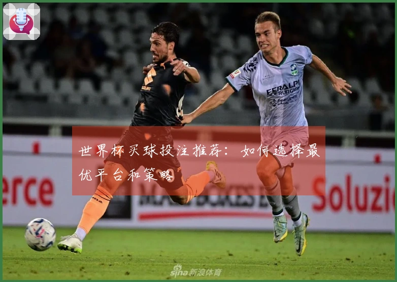 世界杯买球投注推荐：如何选择最优平台和策略
