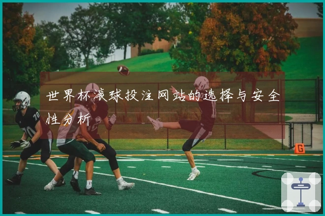 世界杯滚球投注网站的选择与安全性分析