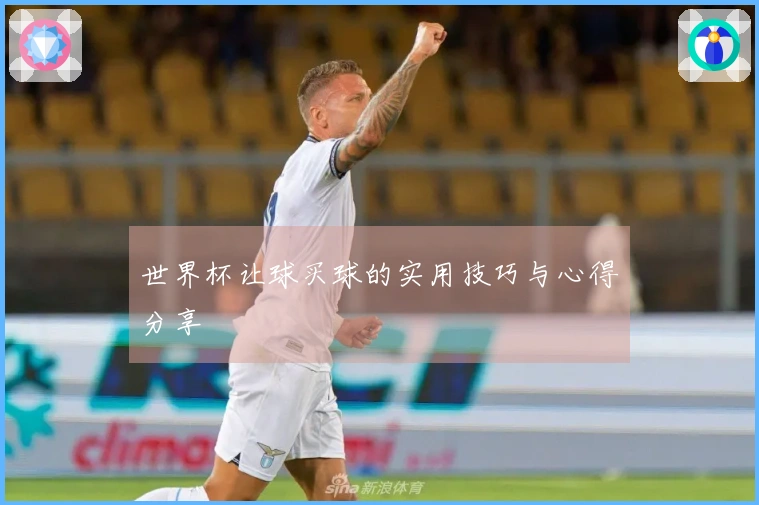 世界杯让球买球的实用技巧与心得分享