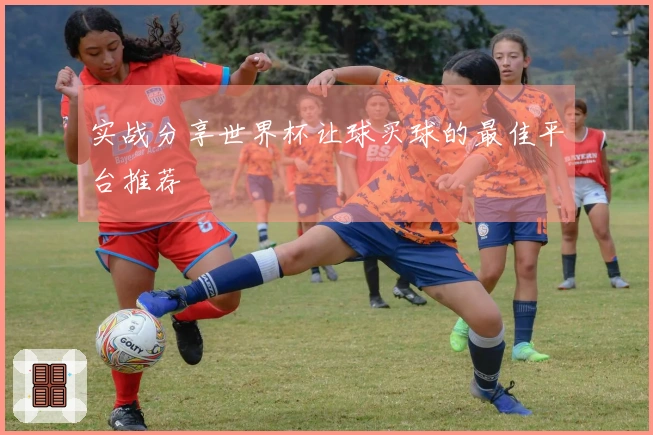 实战分享世界杯让球买球的最佳平台推荐