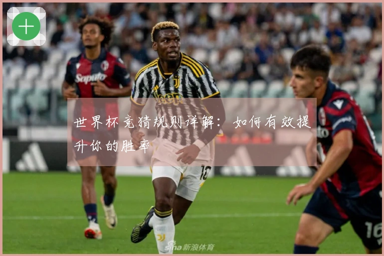 世界杯竞猜规则详解：如何有效提升你的胜率