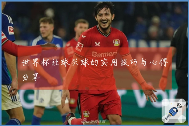 世界杯让球买球的实用技巧与心得分享