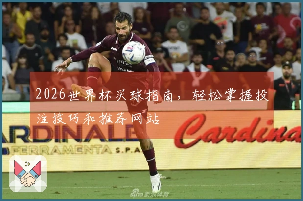 2026世界杯买球指南，轻松掌握投注技巧和推荐网站