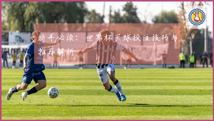 新手必读：世界杯买球投注技巧与推荐解析