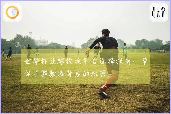 世界杯让球投注平台选择指南，带你了解数据背后的秘密