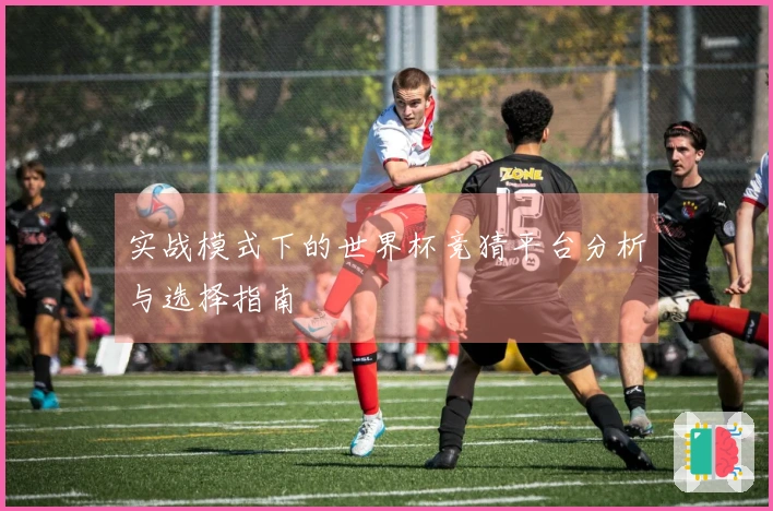 实战模式下的世界杯竞猜平台分析与选择指南