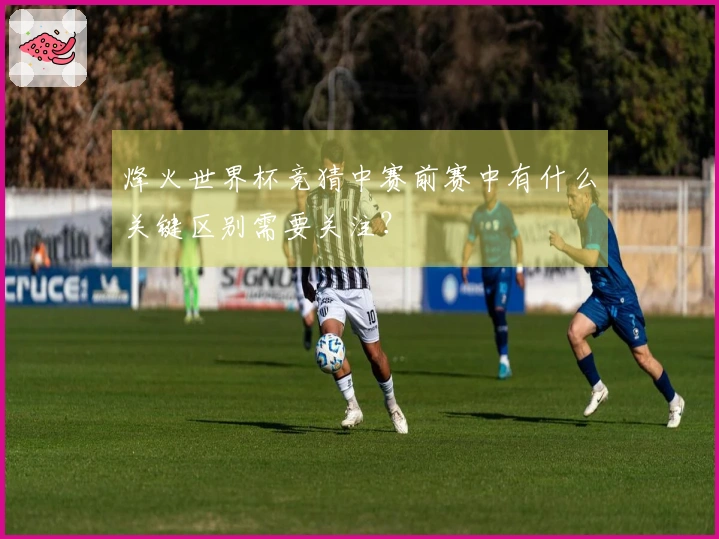 烽火世界杯竞猜中赛前赛中有什么关键区别需要关注？