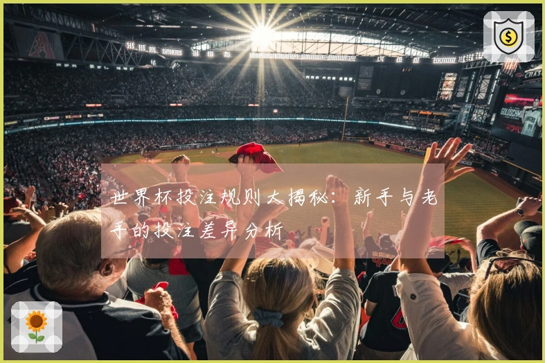 世界杯投注规则大揭秘：新手与老手的投注差异分析
