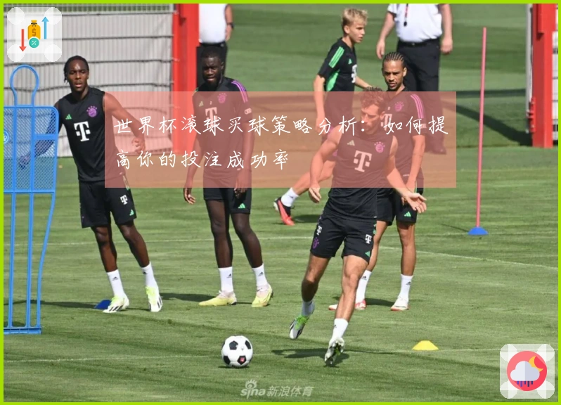 世界杯滚球买球策略分析：如何提高你的投注成功率