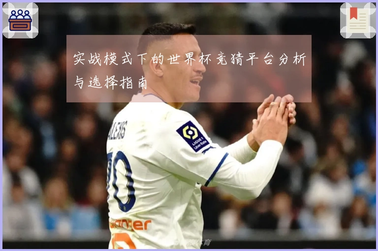 实战模式下的世界杯竞猜平台分析与选择指南