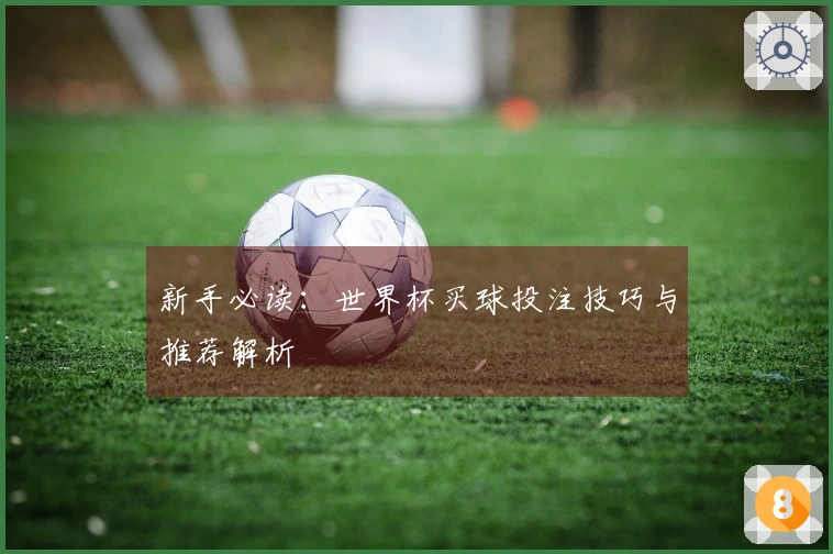 新手必读：世界杯买球投注技巧与推荐解析