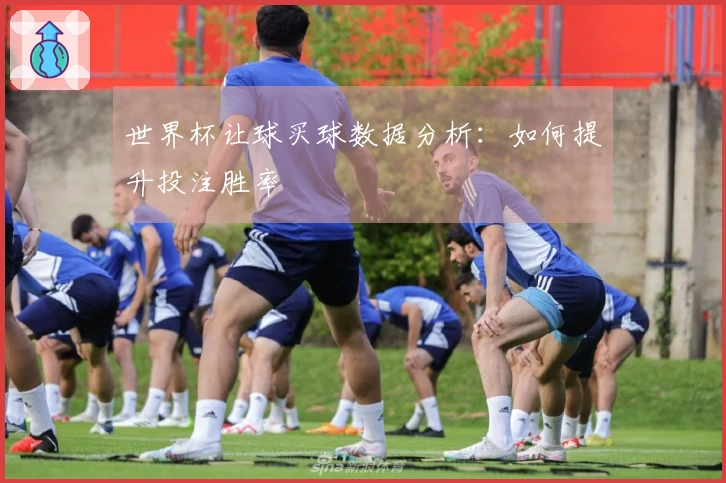 世界杯让球买球数据分析：如何提升投注胜率