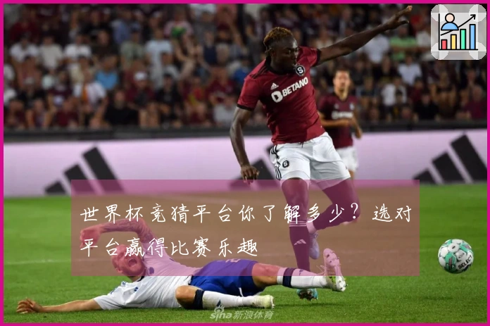 世界杯竞猜平台你了解多少？选对平台赢得比赛乐趣